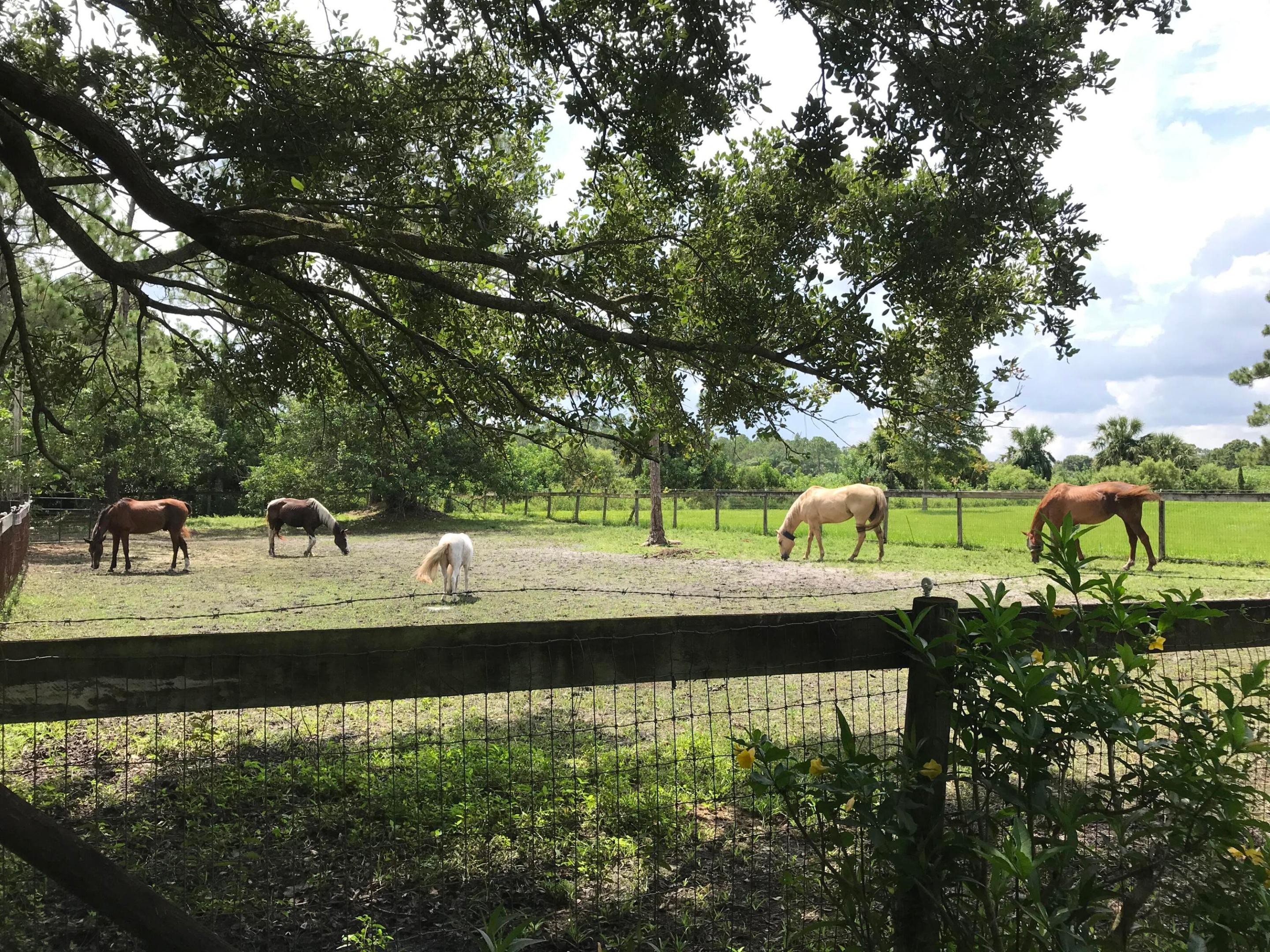 Residential in Loxahatchee Groves 3