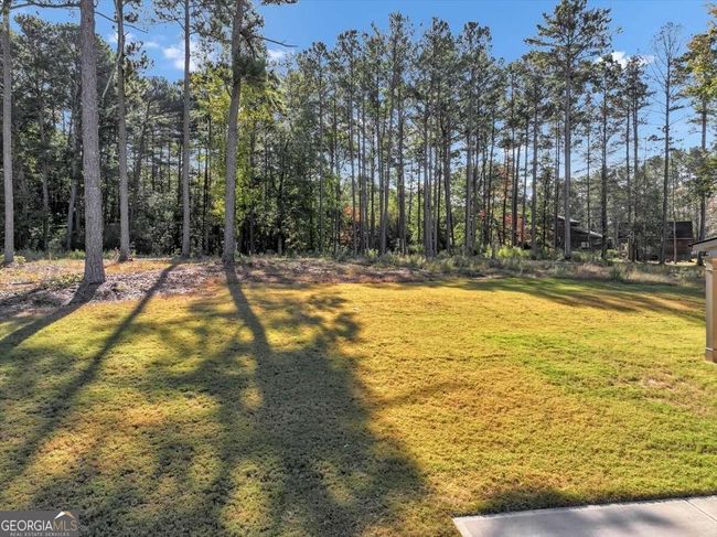 LOT-38 - 412 Guildhouse Dr, House other with 5 bedrooms, 5 bathrooms and 3 parking in McDonough GA | Image 55