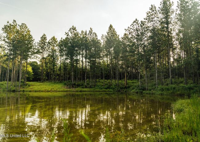 BS 500 Greene County Pics-66 | Image 25