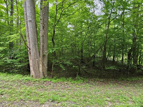 17 Lonesome Pine, Murphy, NC, 28906 | Card Image