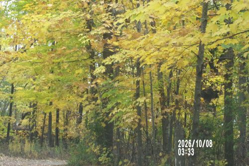 11522 Debra Lane, Ogilvie, MN, 56358 | Card Image