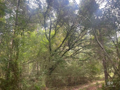 0 Mcdowell Rd, Bay Minette, AL, 36507 | Card Image