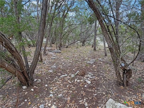 1084 Dog Leg Ln, Spring Branch, TX, 78070 | Card Image