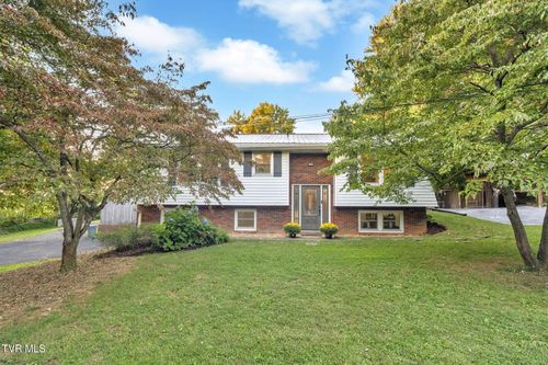 222 Roy Martin Rd, Gray, TN, 37615-3124 | Card Image