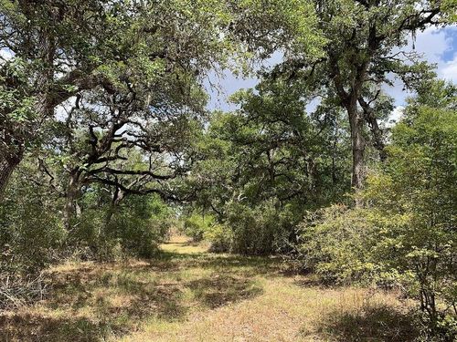 00 Private Road 1581 Road, Hallettsville, TX, 77964 | Card Image