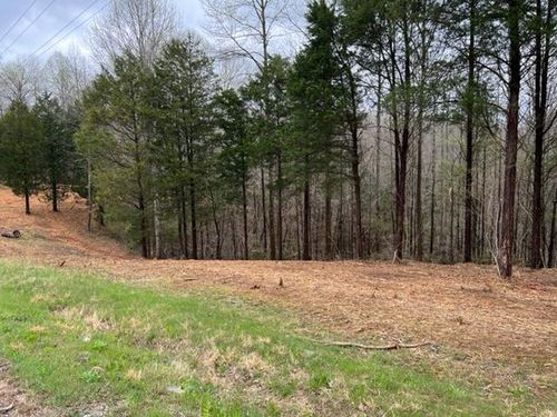 Lot 1 Willow Grove Church Rd, Allons, TN, 38541-3035 | Card Image
