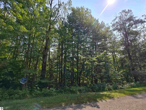 1617 Springdale Dr, Elmira, MI, 49730 | Card Image