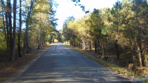 1 Miller Hollow Road, Attalla, AL, 35954 | Card Image