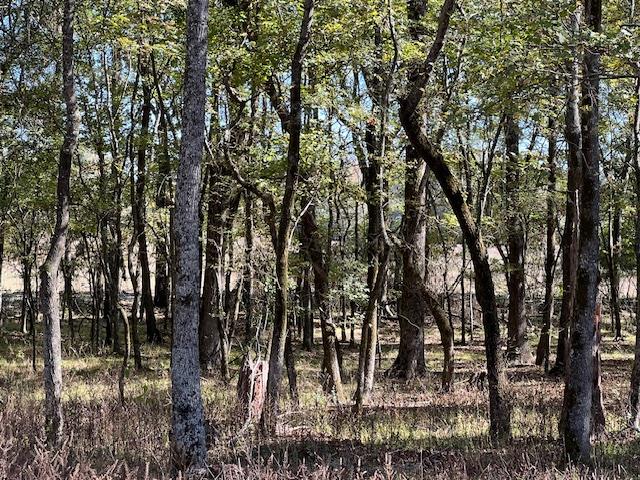 Land in Broken Bow 2