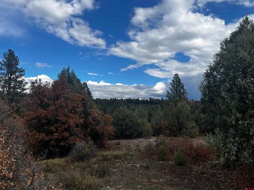 1146 Harvard Ave, Pagosa Springs, CO, 81147 | Card Image