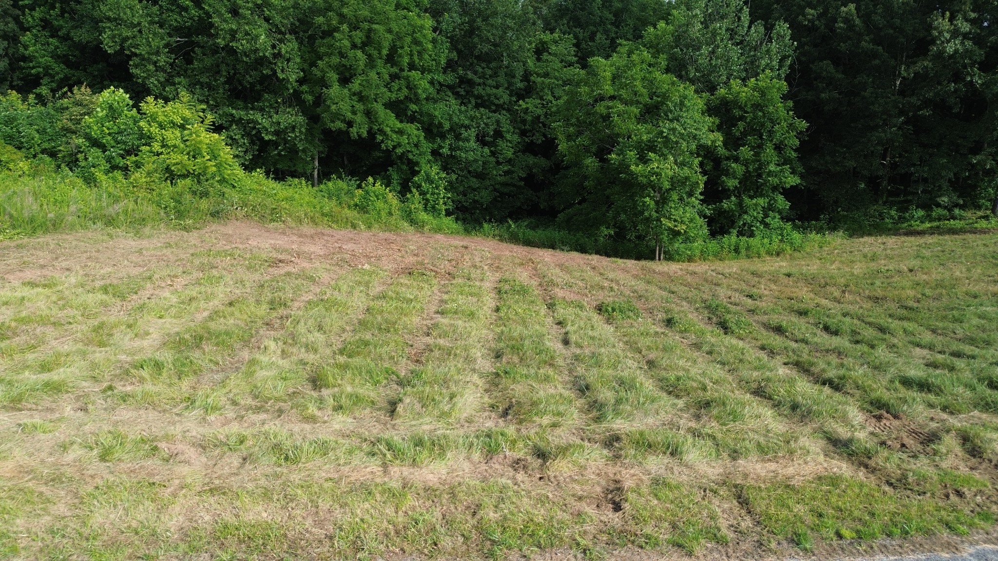 Land in Smithville