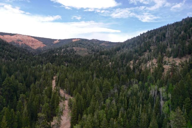 20 Acres | Image 8