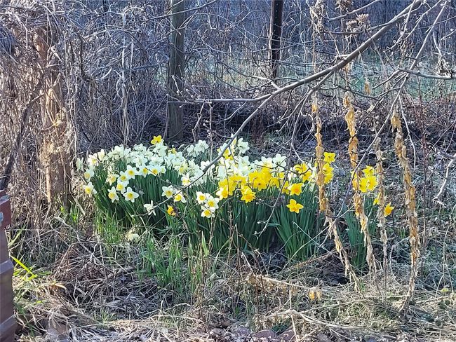 View of nature | Image 89
