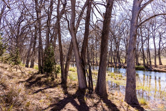 2350 Little Dry Frio Rd, Home with 0 bedrooms, 0 bathrooms and null parking in Rio Frio TX | Image 23