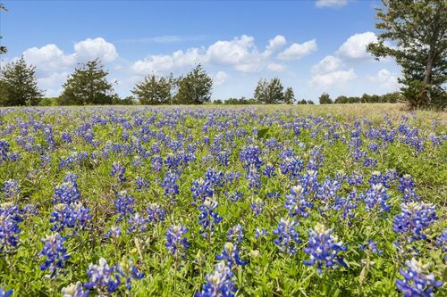 13630 Fm 1155 E, Washington, TX, 77880-6086 | Card Image