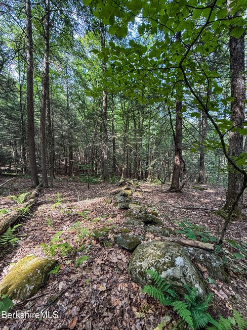 Lot 35 Deer Run, Becket, MA, 01223 | Card Image