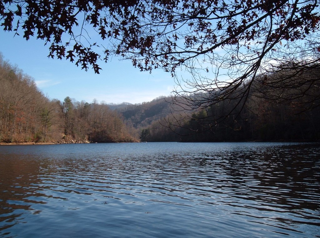 Land in Tuckasegee 4