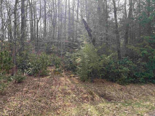 Lot 81 Gondola Ct, Davis, WV, 26260 | Card Image