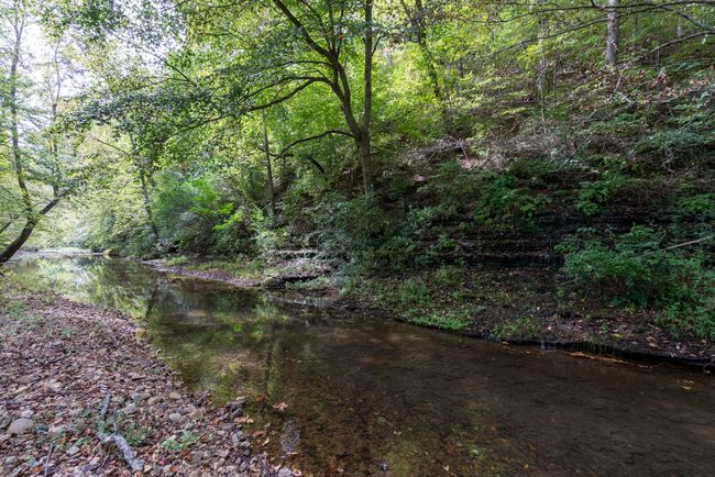 634 Longbranch Rd, House other with 3 bedrooms, 2 bathrooms and 8 parking in Hohenwald TN | Image 31