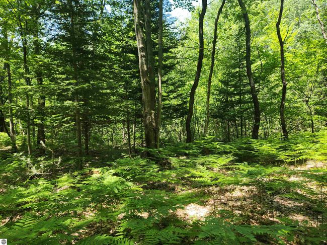 2867 Folks Rd Ne, Home with 0 bedrooms, 0 bathrooms and null parking in Kalkaska MI | Image 16