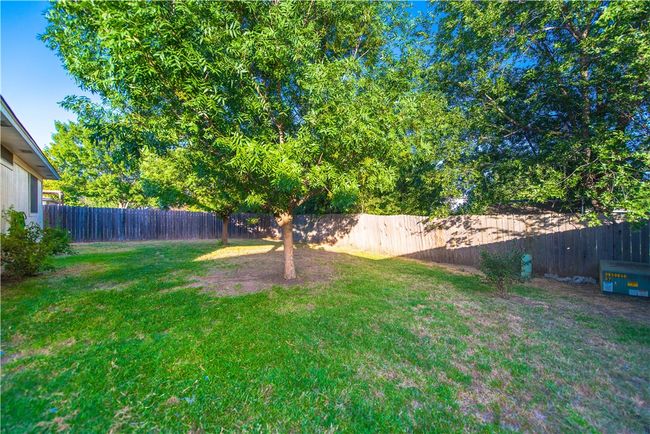 Back yard | Image 25