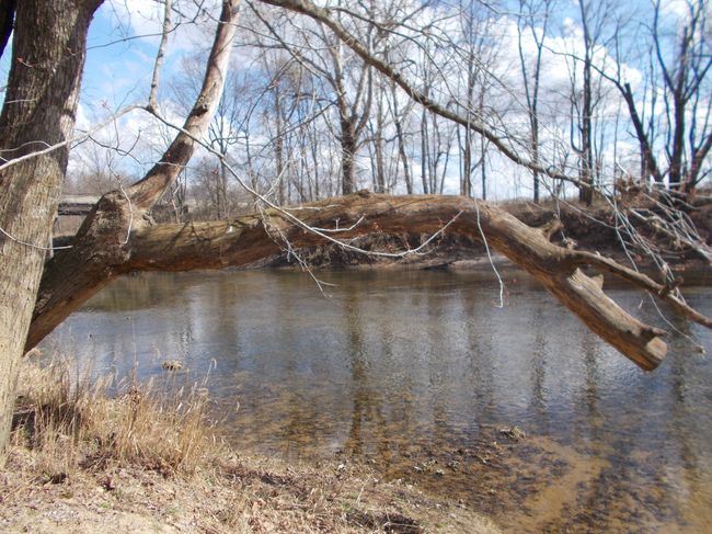 0 N State Highway 7, Home with 0 bedrooms, 0 bathrooms and null parking in Scipio IN | Image 22