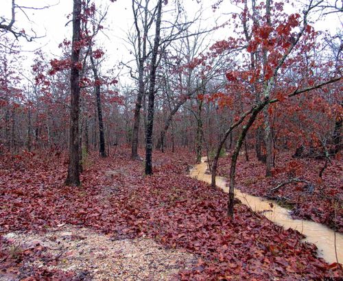 1998 Christine St, Blossom, TX, 75416 | Card Image