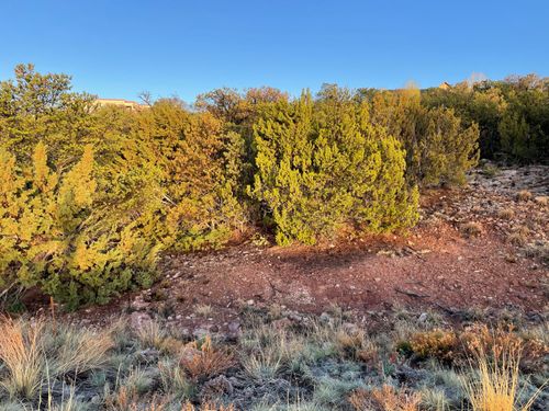 15 Tigua Dr, Sandia Park, NM, 87047 | Card Image