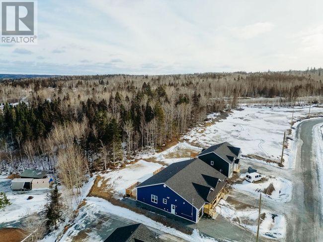3B Temple Avenue, House other with 2 bedrooms, 2 bathrooms and null parking in Appleton NL | Image 4