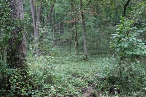6.72 +/- Acres Pendleton Lost Creek Road, Warrenton, MO, 63383 | Card Image