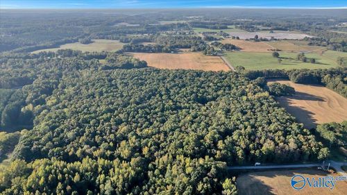 20 Acres Little Coffman Rd, Lester, AL, 35647 | Card Image