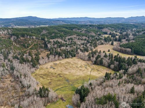 0 XXX Rue Creek Rd, Raymond, WA, 98577 | Card Image