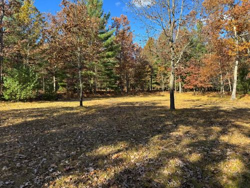 Parcel 13 County Line Road, Free Soil, MI, 49411 | Card Image