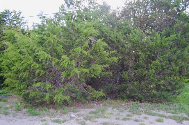 419 Thunderhead St, Home with 0 bedrooms, 0 bathrooms and null parking in Spring Branch TX | Image 7