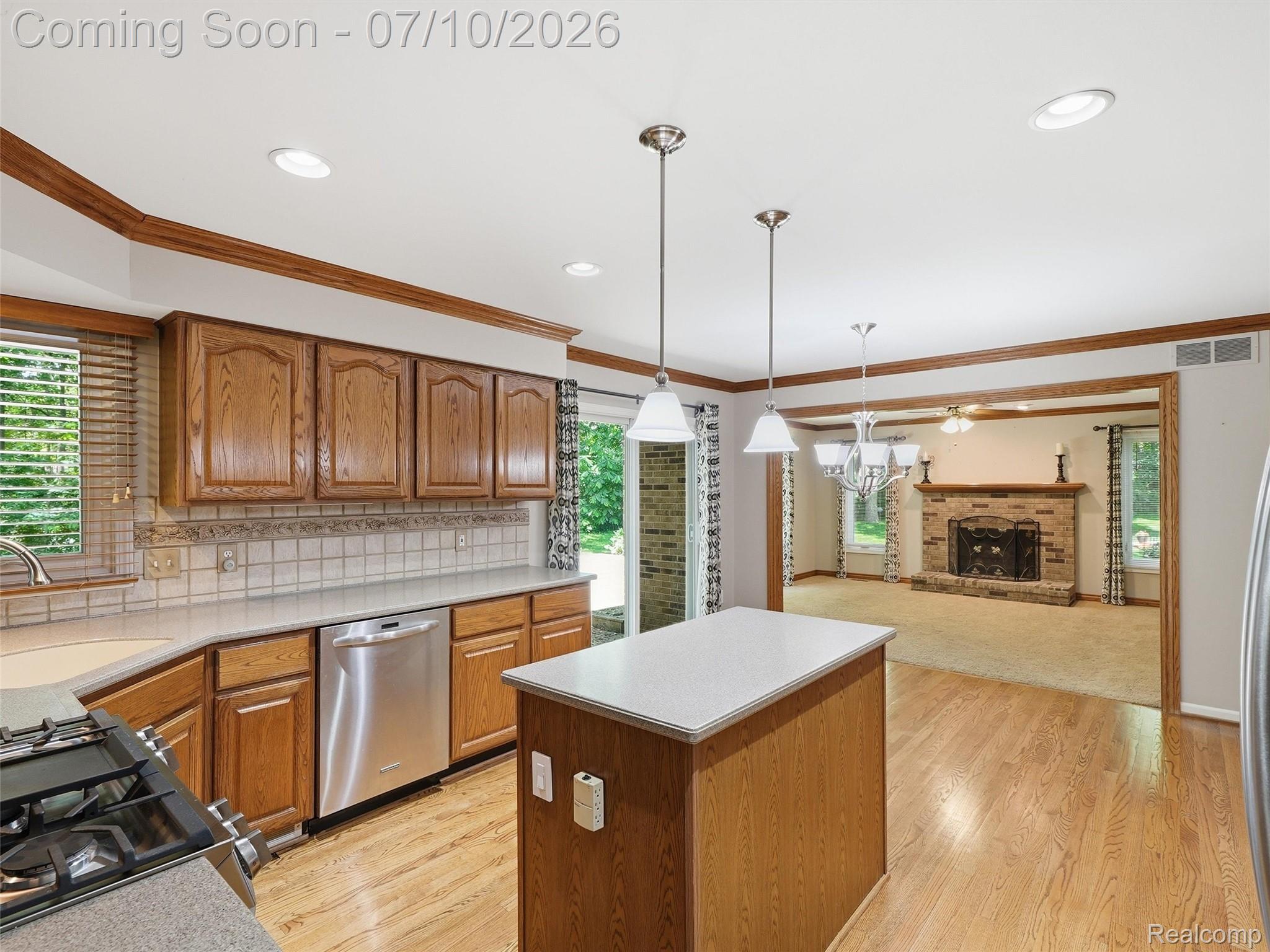 Residential in Plymouth Charter Township 3