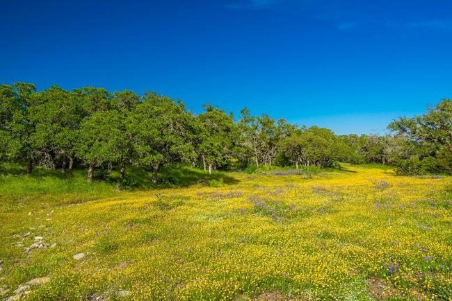 2068 S Laird Rd, Home with 0 bedrooms, 0 bathrooms and null parking in Harper TX | Image 47