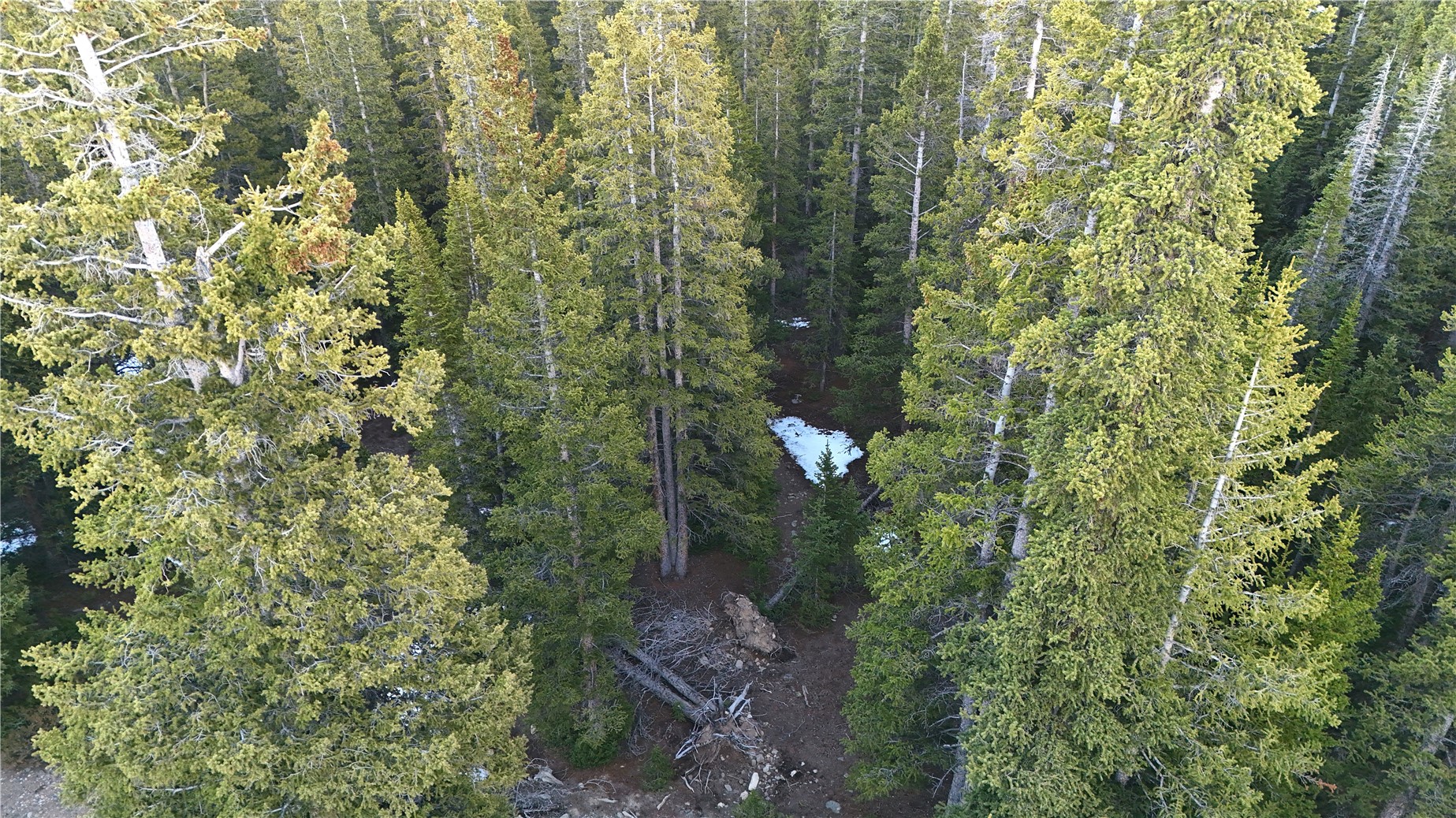 Land in Fairplay 4