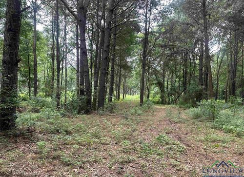 X Spearman Rd, Pittsburg, TX, 75686 | Card Image