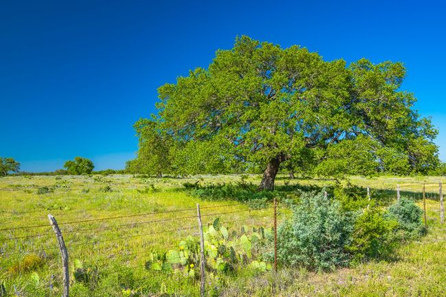 2068 S Laird Rd, Home with 0 bedrooms, 0 bathrooms and null parking in Harper TX | Image 44