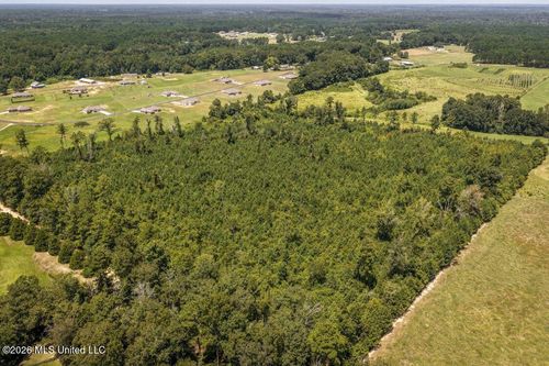 Xxx Driftwood Road, Summit, MS, 39666 | Card Image