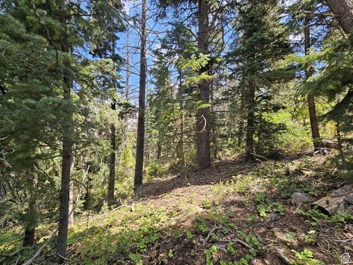 28-28 Sugar Pine Dr, Mt Pleasant, UT, 84647 | Card Image