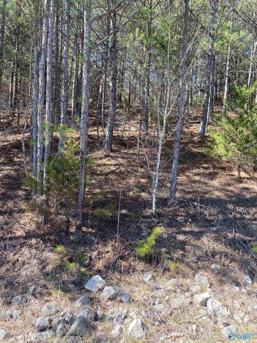 Lot 3 Blk 2 Alyson Ave Nw, Fort Payne, AL, 35968 | Card Image