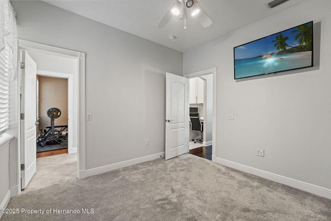 26221 Pheasant Run, House other with 4 bedrooms, 3 bathrooms and null parking in Wesley Chapel FL | Image 49