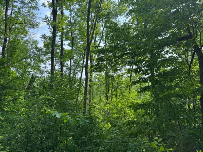 8259 148 Th Ave, House other with 2 bedrooms, 2 bathrooms and null parking in Becker MN | Image 31