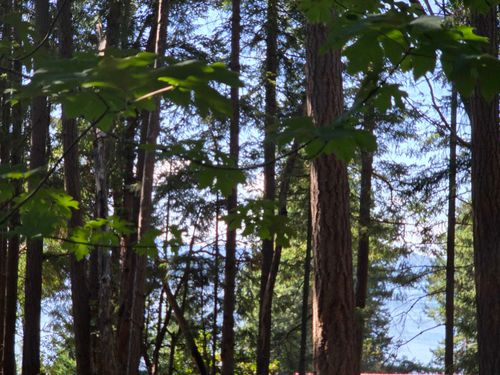 488 Letour Rd, Mayne Island, BC, V0N2J2 | Card Image