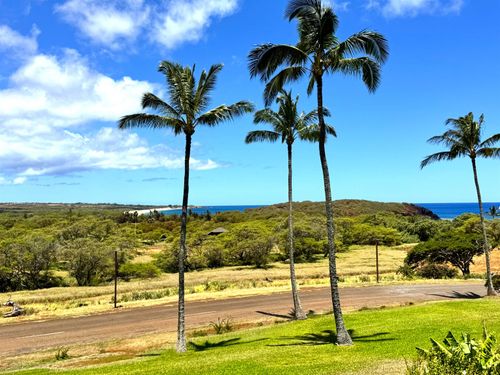 213-50 Kepuhi Pl, Maunaloa, HI, 96770 | Card Image