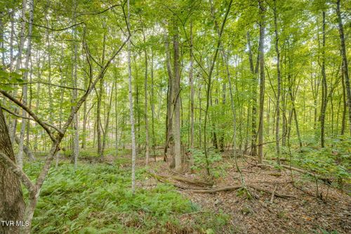 Lot 16 Forest Drive, Butler, TN, 37640 | Card Image