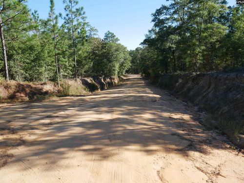  Corner Of Rays Pond And Mary Rawls Road, Wagener, SC, 29164 | Card Image