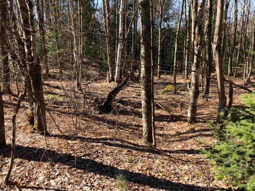 TBD Florence Rd, Belvidere Center, VT, 05442 | Card Image