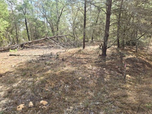 206 Wales St, INTERLACHEN, FL, 32148 | Card Image